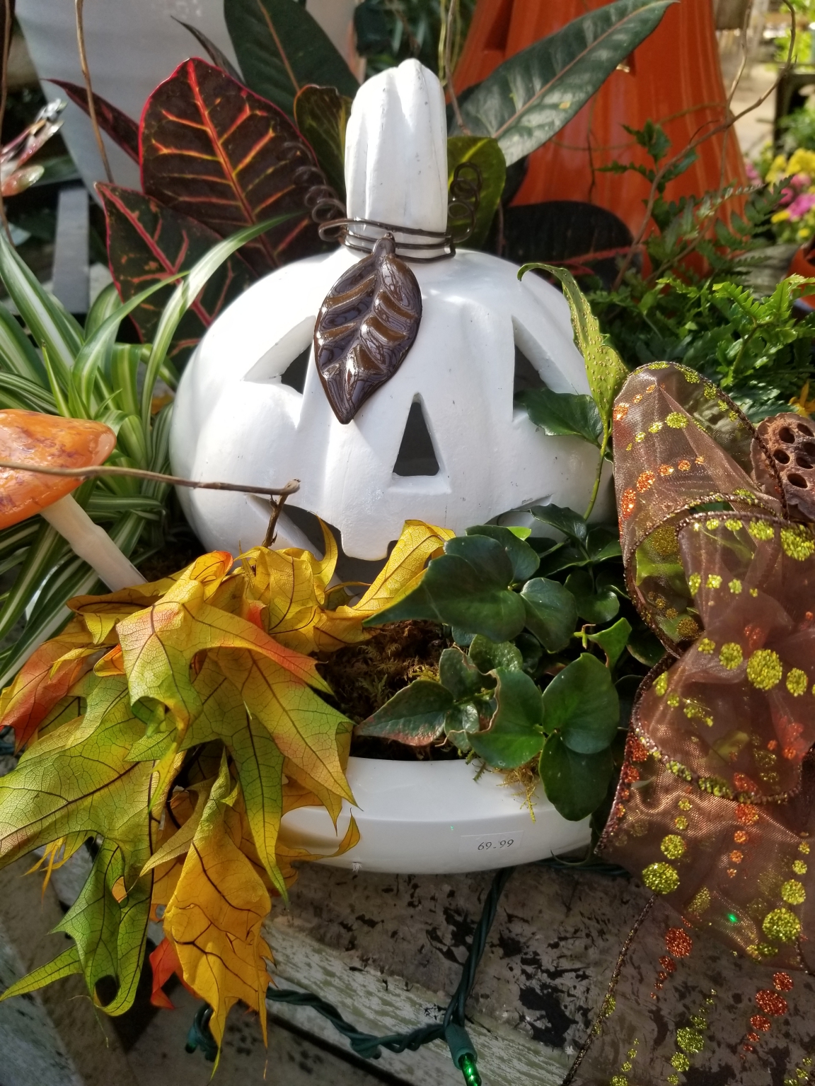 Current Events Zimlich's Patio & Garden