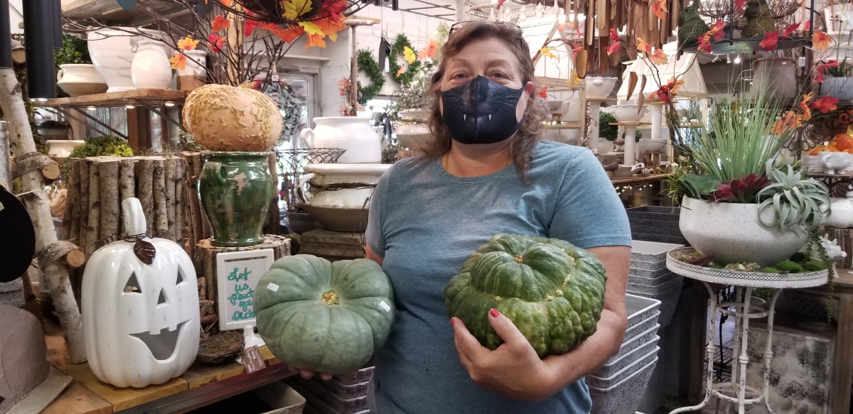 Current Events Zimlich's Patio & Garden