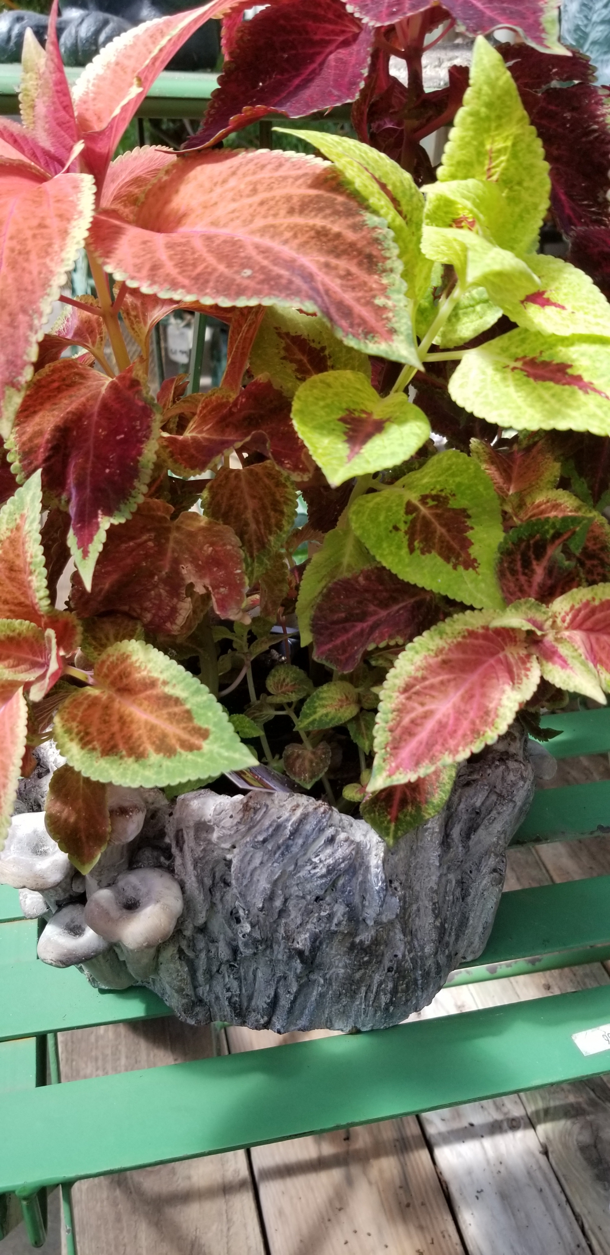 Great Garden Gifts Zimlich's Patio & Garden