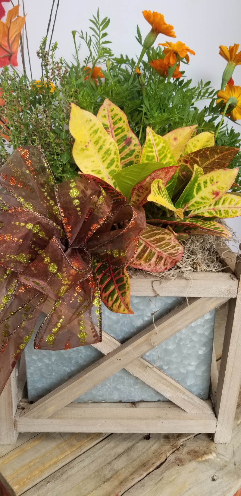 Great Garden Gifts Zimlich's Patio & Garden