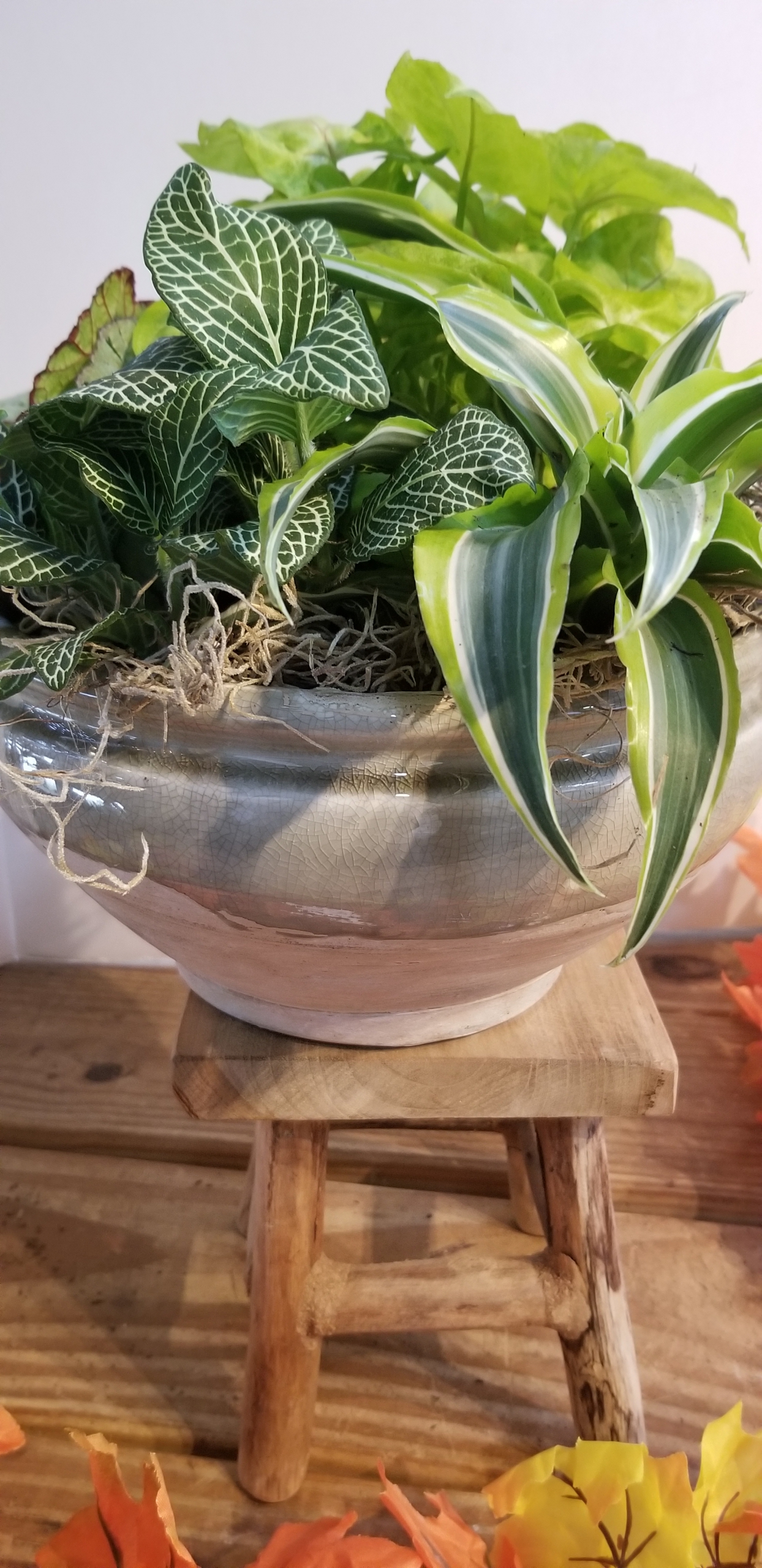 Decorating with Green Plants. Zimlich's Patio & Garden