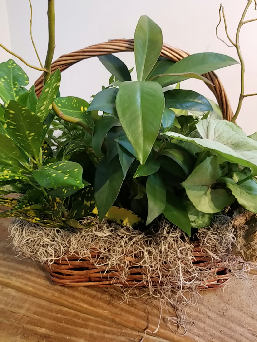 Decorating with Green Plants. Zimlich's Patio & Garden