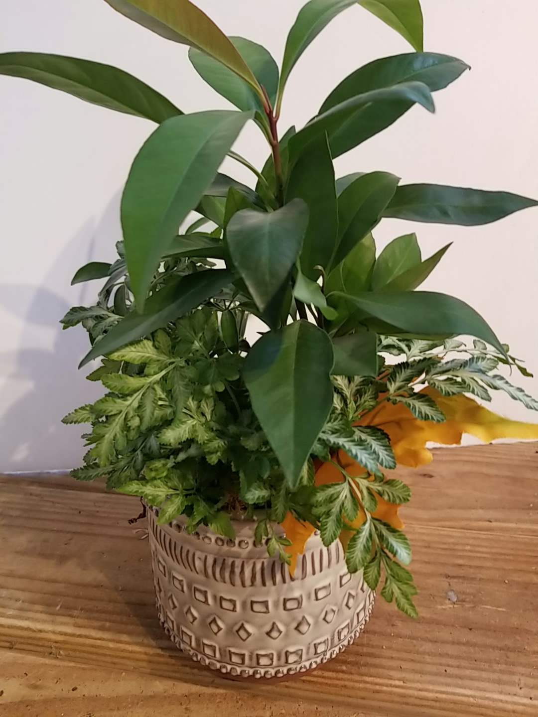 Decorating with Green Plants. Zimlich's Patio & Garden