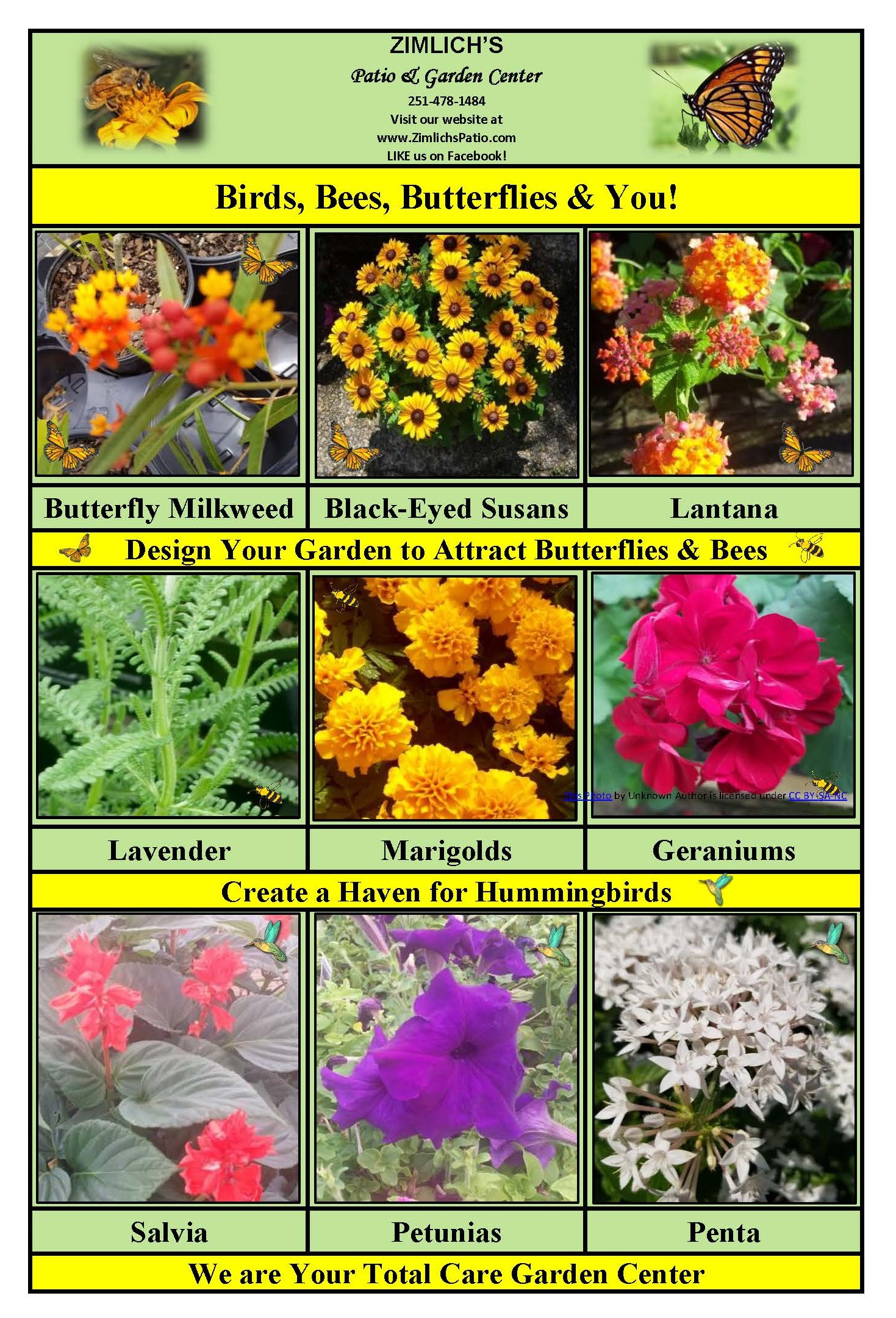 Birds, Bees, Butterflies, You and Your Family Zimlich's Patio & Garden