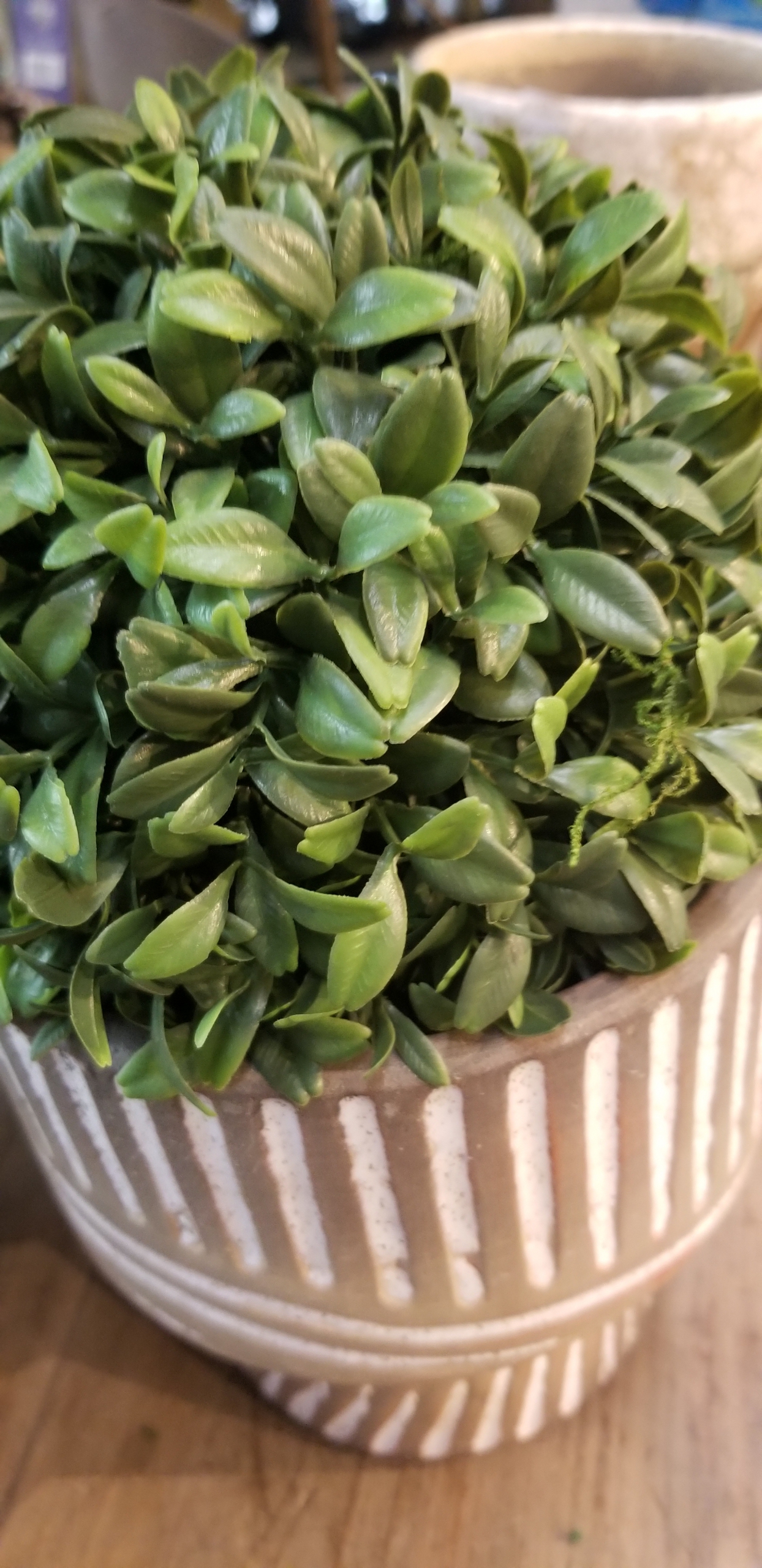 More for Your Great Indoors. Zimlich's Patio & Garden