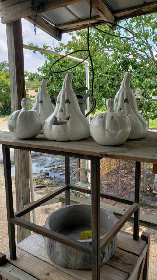 Jack O Lanterns and Great Pumpkins Await You… Zimlich's Patio & Garden
