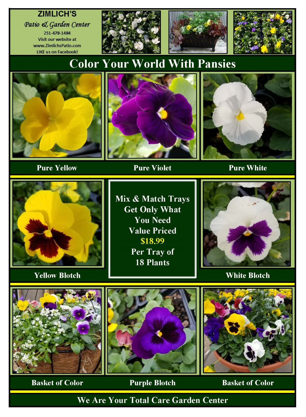 Keep Your Garden and Patio Full of Color All Winter Long Zimlich's