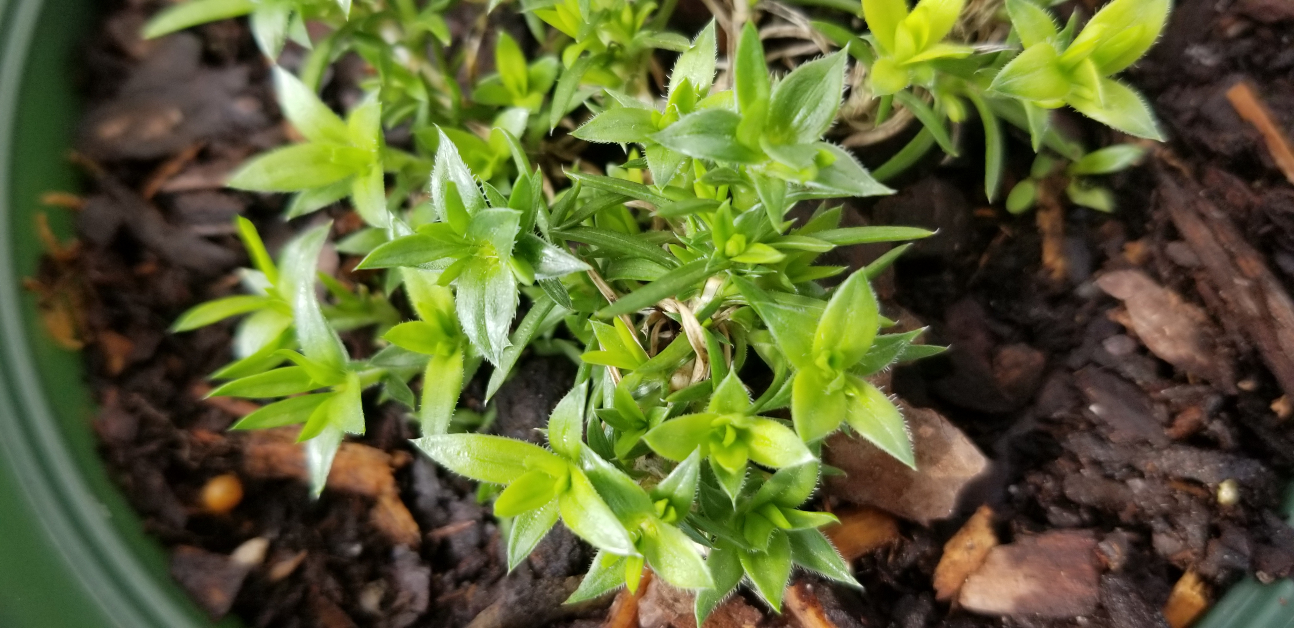 We are Always Busy at Your Garden Center Zimlich's Patio & Garden