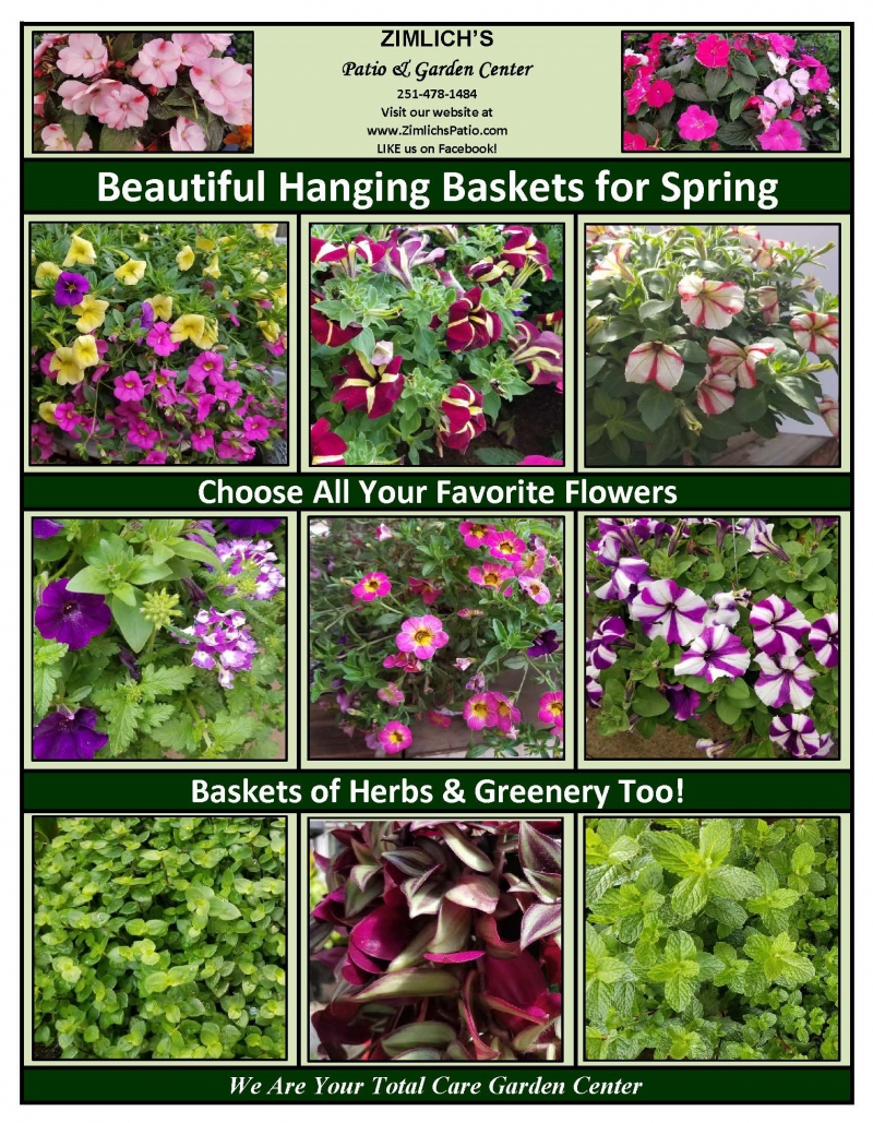 Spring Hanging Baskets Have Arrived!!! Zimlich's Patio & Garden