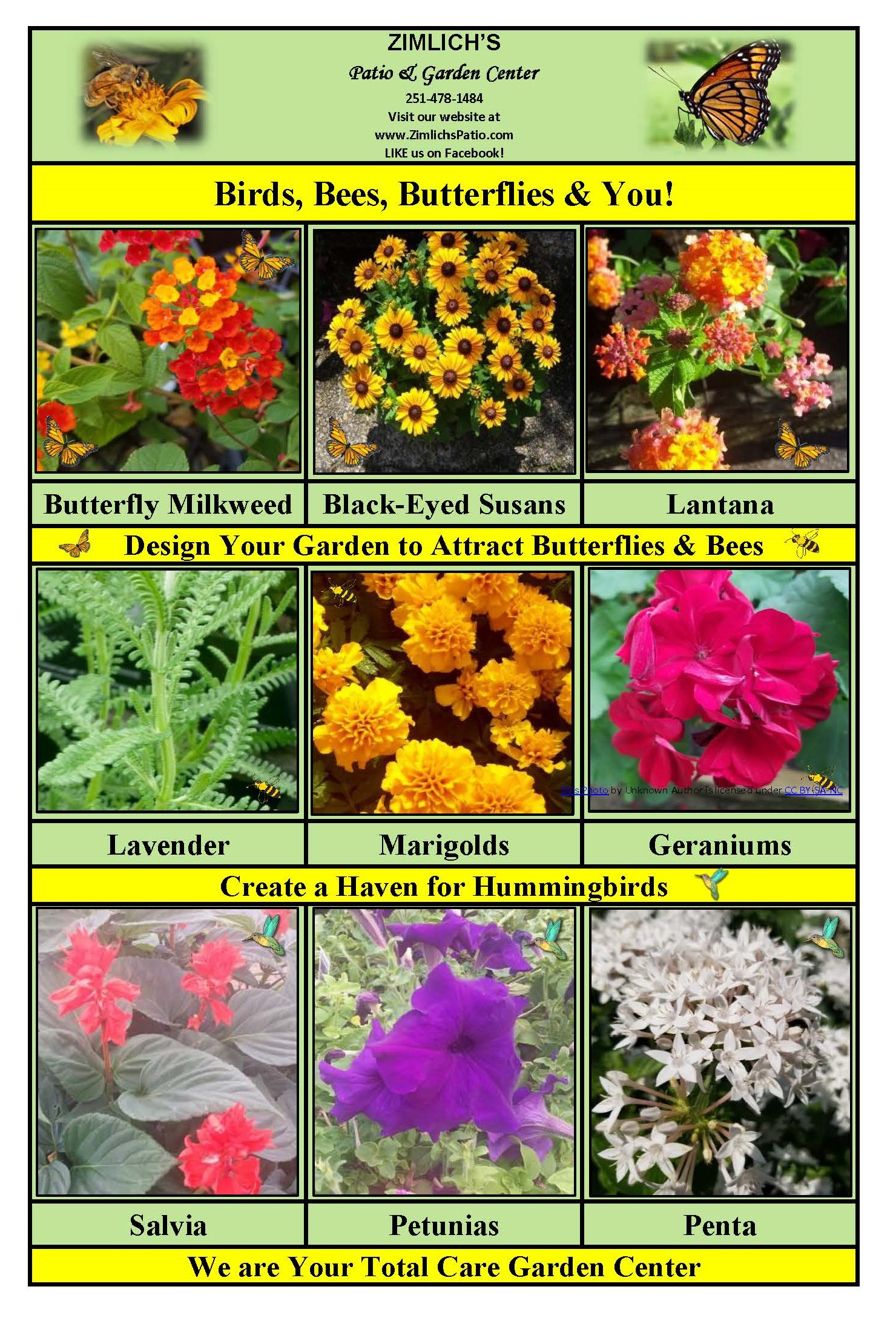 A List of Host and Nectar Plants Here at Your Garden Center Zimlich's