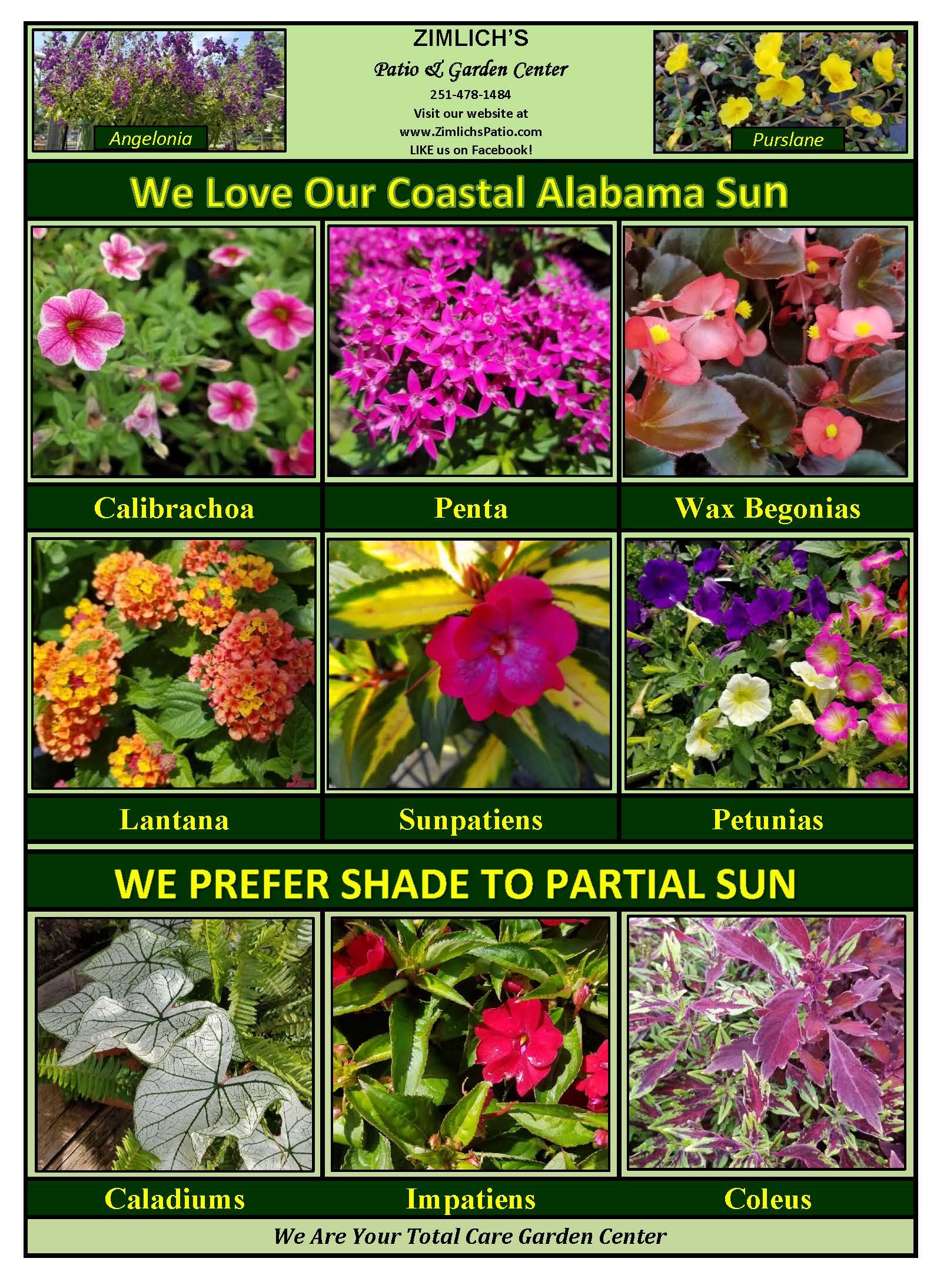 We have Sun Loving Plants and Plants that are Shady Characters. Zimlich's Patio & Garden