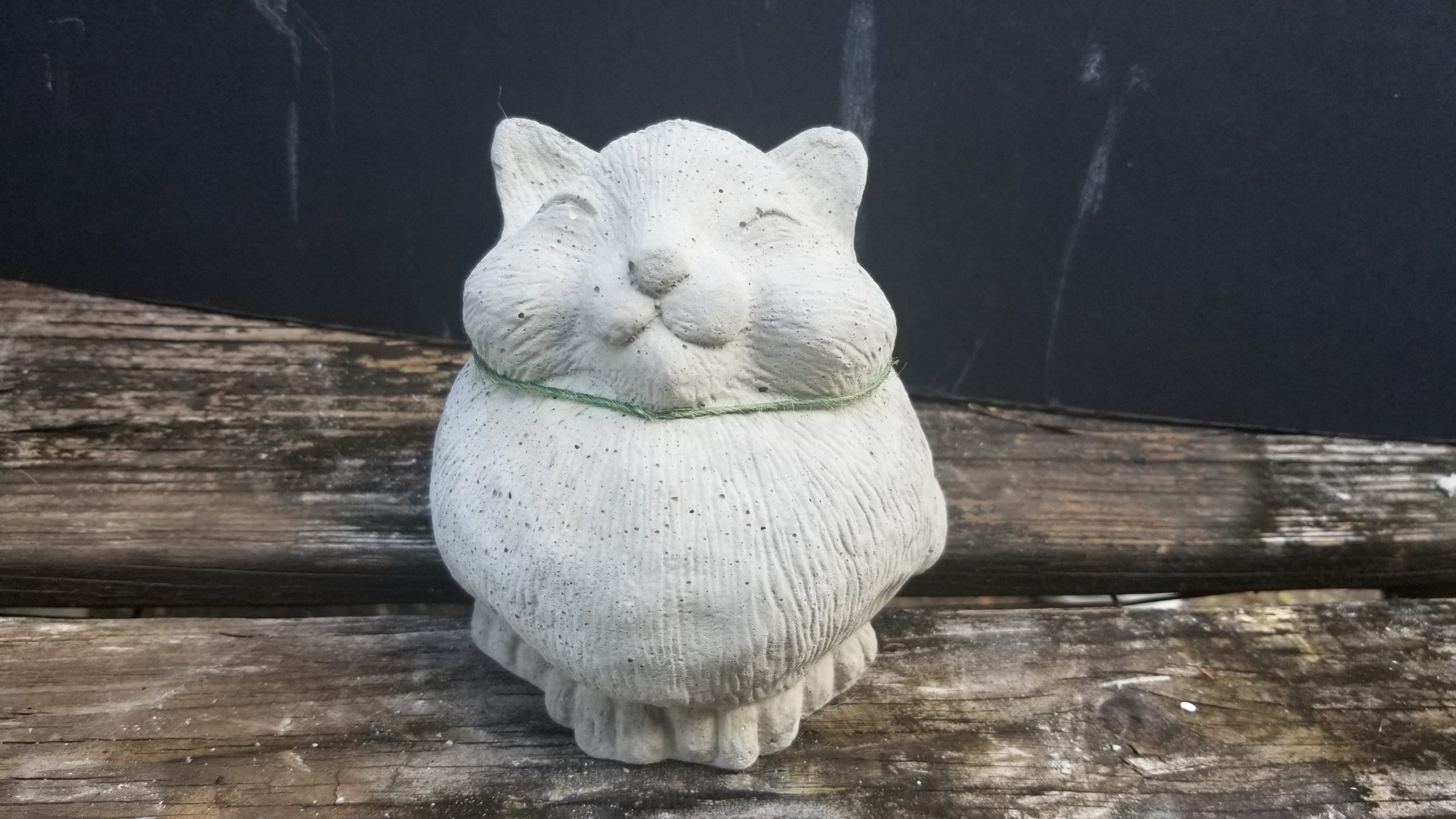 Bunnies, Kittens and Cats Zimlich's Patio & Garden