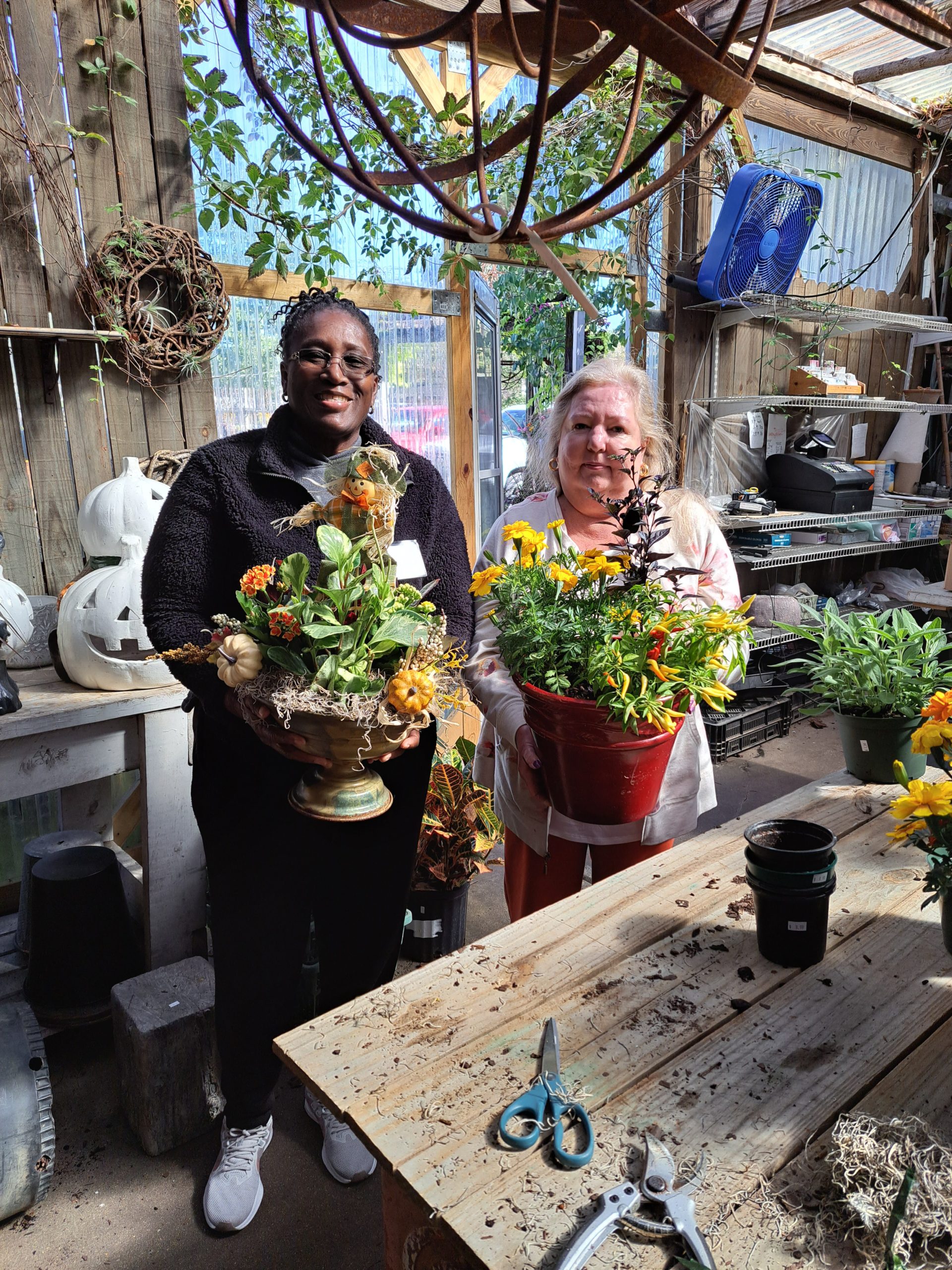 Recent at Your Garden Center Zimlich's Patio & Garden