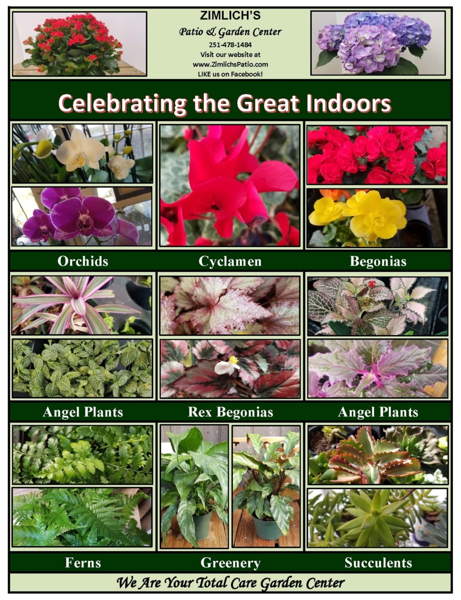 Celebrating the Great Indoors Zimlich's Patio & Garden